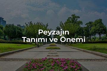 Peyzajın Tanımı ve Önemi