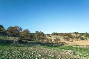 Şerhli Satış Yapılan Köy Arazilerine Prefabrik Ev Kurulabilecek